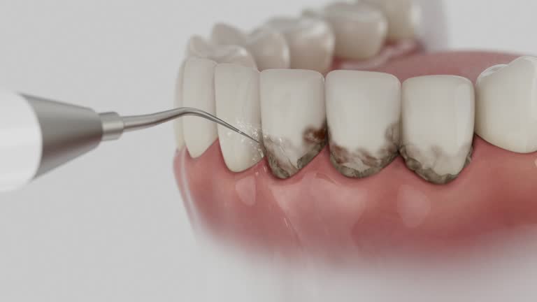 Reliable Dental contractor in Vermillion County County, IN by Dentist Open Now
